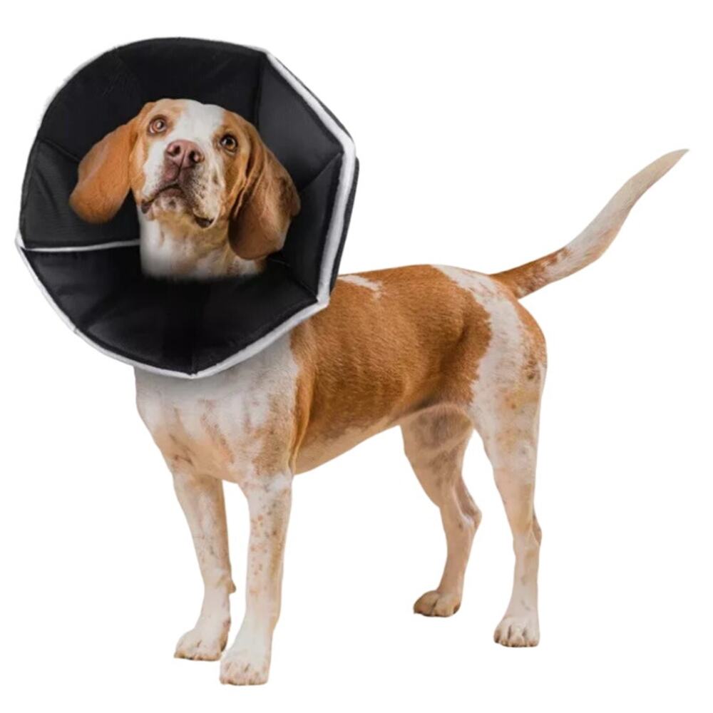 Focuspet Soft Dog Cone Procedure/Recovery Collar, Size L